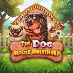 The Dog House Multihold game at Nine Casino for Australia players The Dog House Multihold game at Nine Casino for Australia players